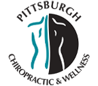 Chiropractic Canonsburg and McMurray PA Pittsburgh Chiropractic & Wellness