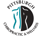Chiropractic Canonsburg and McMurray PA Pittsburgh Integrated Wellness